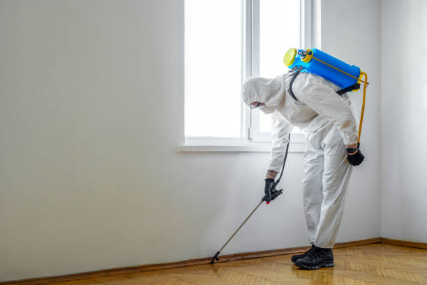 Best Pest Control for Restaurants  in USA